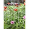 Greenscapes Greenscapes 12 ft. L X 6 ft. W 1 pk Trellis Netting 46638 - alternate 3